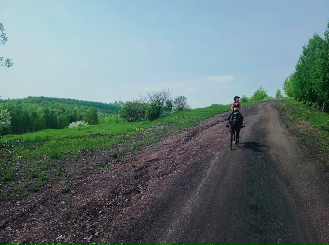 Поля