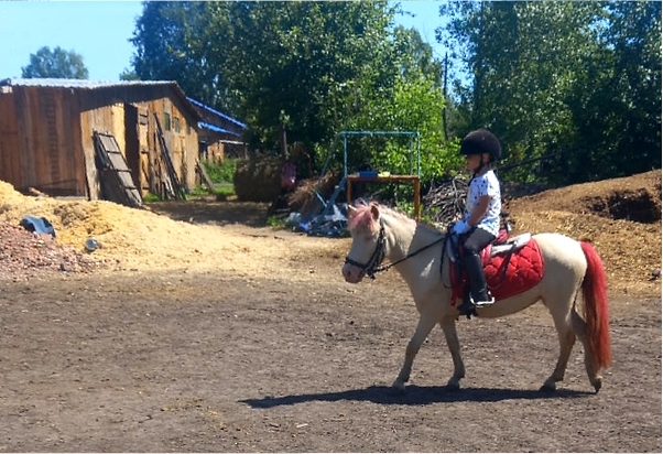 Первая посадка