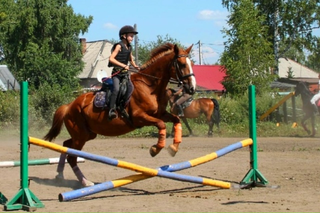 Регулярные занятия
